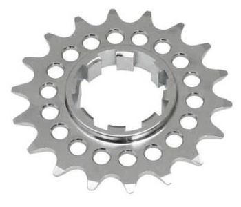 Gusset Campy Singlespeed Kassettenritzel