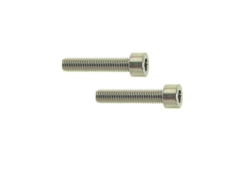Allen Stainless Steel Screws Couple - M5