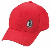 Salsa Flexfit Cap